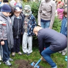 Święto Drzewa